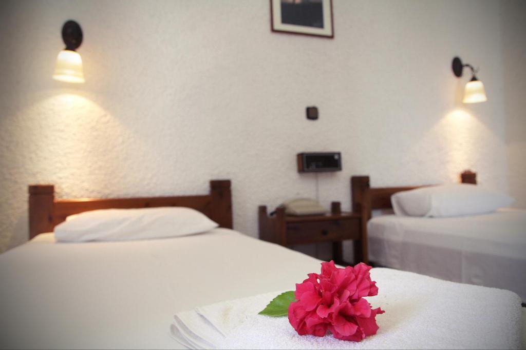 Delfini Apartments Kíssamos Rom bilde